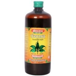 Baidyanath Panchasava 450ml