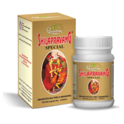 Dhootapapeshwar Shilapravang Special 30Tab