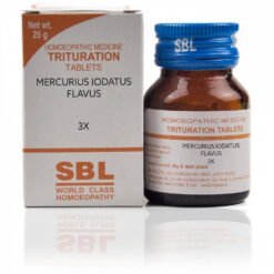 SBL Mercurius Iodatus Flavus 3X( 25g)