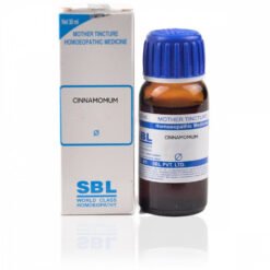 SBL Cinnamomum 1X Q (30ml)