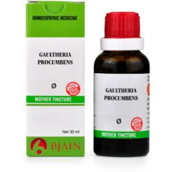B Jain Gaultheria Procumbens 1X Q (30ml)