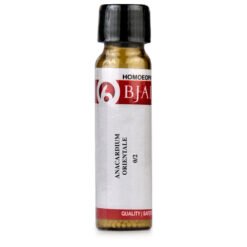 B Jain Anacardium Orientale LM 0/2 6g