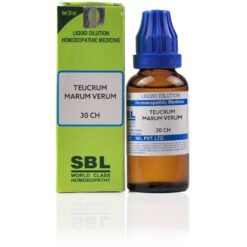 SBL Teucrium Marum Verum (30 CH) (30ml)
