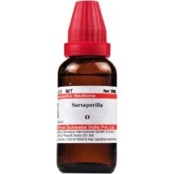 Willmar Schwabe India Sarsaparilla 1X Q (30ml)