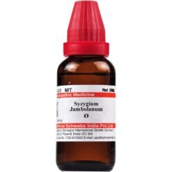 Willmar Schwabe India Syzygium Jambolanum 1X Q (30ml)