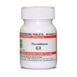 6X