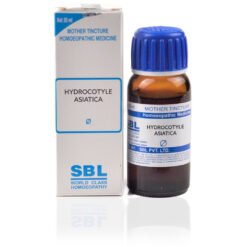 SBL Hydrocotyle Asiatica 1X Q (30ml)
